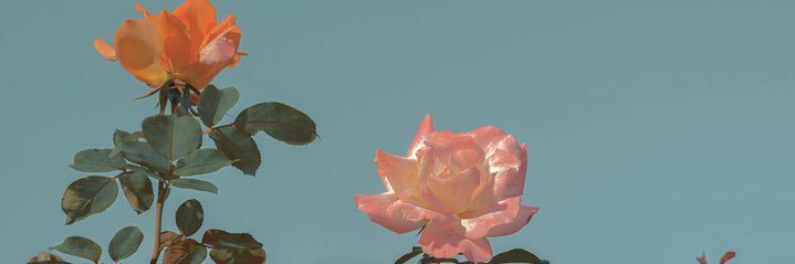 fairyth0t_'s profile banner image