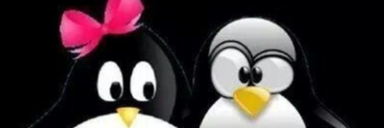znurcuk's profile banner image