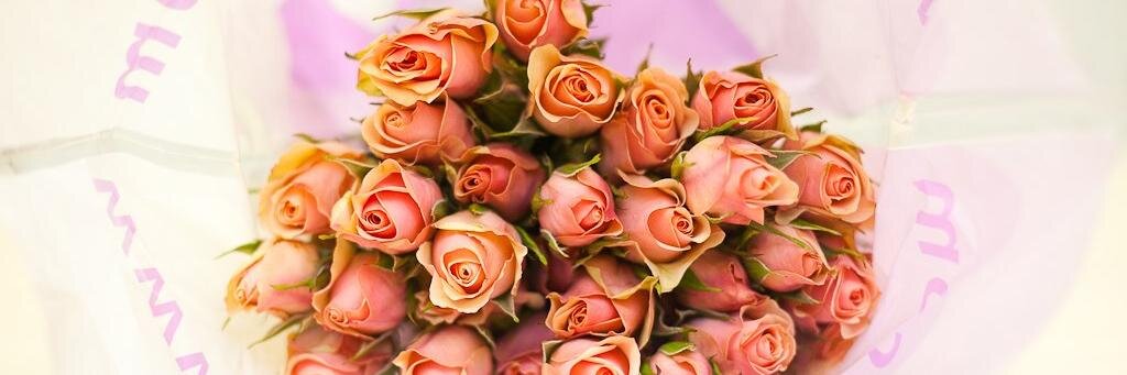 romashka9988's profile banner image
