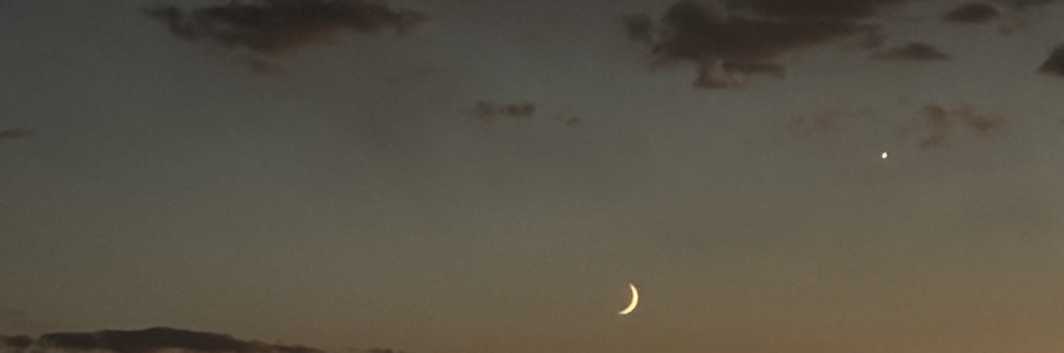 spooky_mads's profile banner image