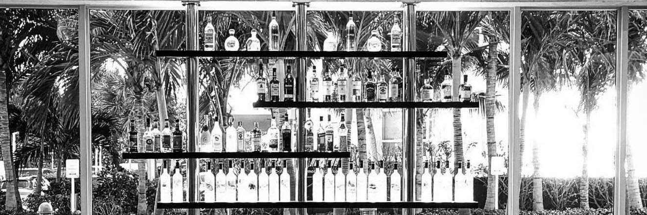 SalukPhoto's profile banner image