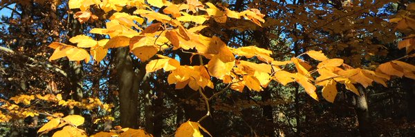 luismoran2014 Profile Banner