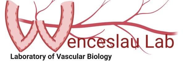 WenceslauLab Profile Banner
