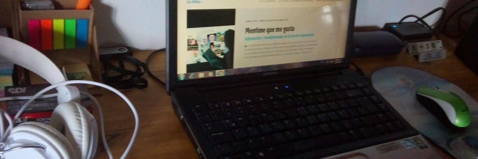 María Carolina Stegman banner