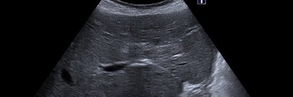 AEcodigest Profile Banner