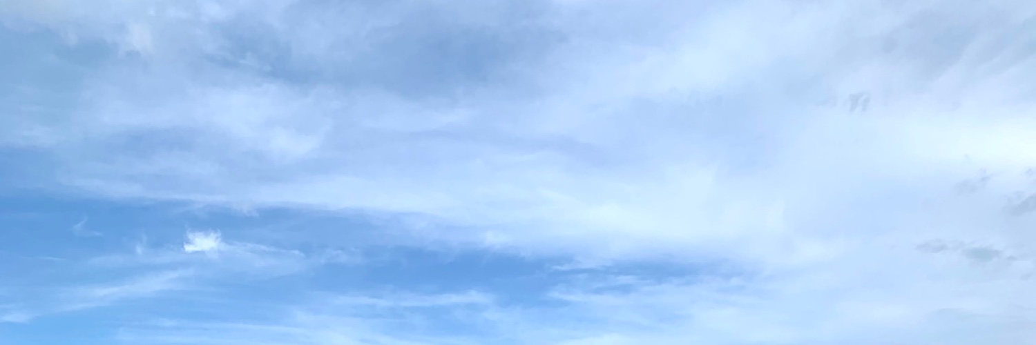 sarowone's profile banner image