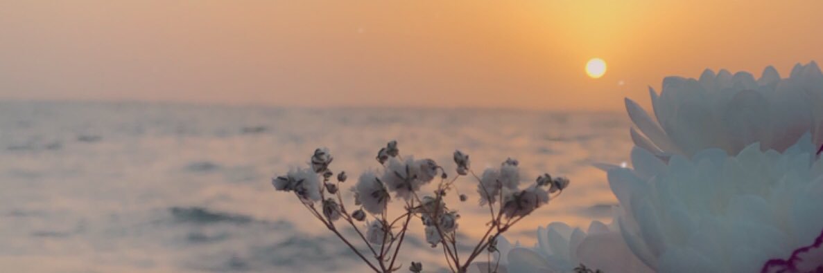lom9111's profile banner image