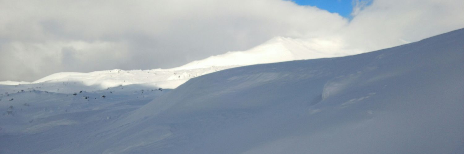 mogtin's profile banner image