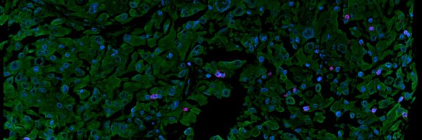 Mabuehler1992 Profile Banner