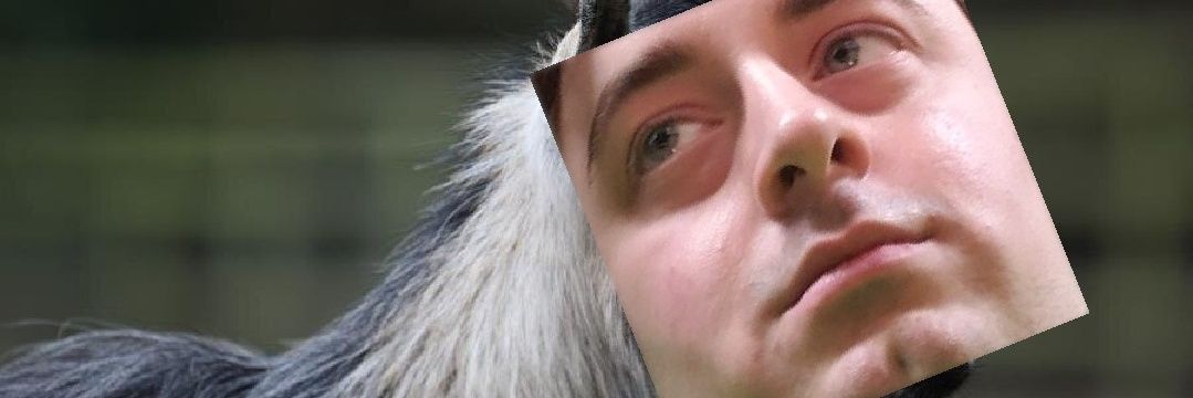 OoGaMcBooga banner