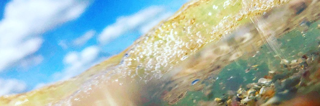 gacciad's profile banner image