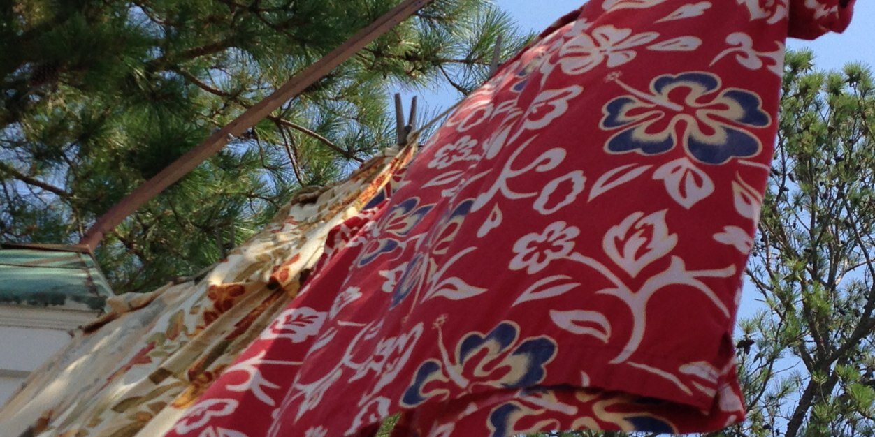 Rachel Stapleford banner