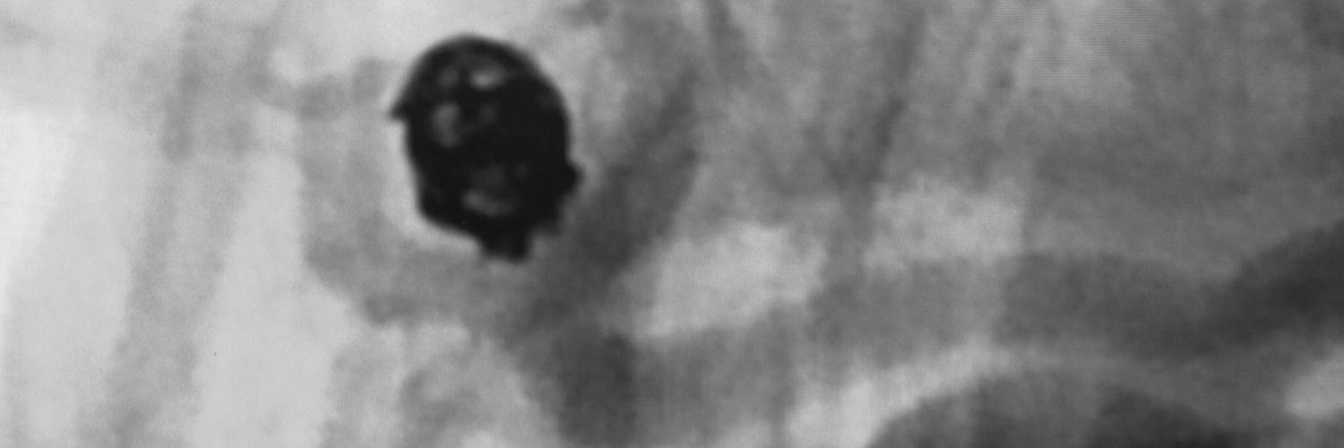 drcalama's profile banner image