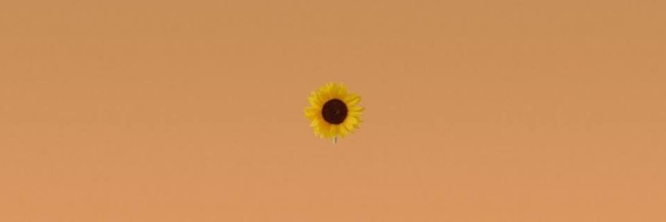 michinyeoja's profile banner image
