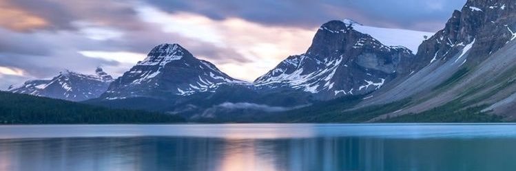Percy_nrd's profile banner image