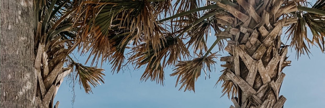 allibarmstrong's profile banner image
