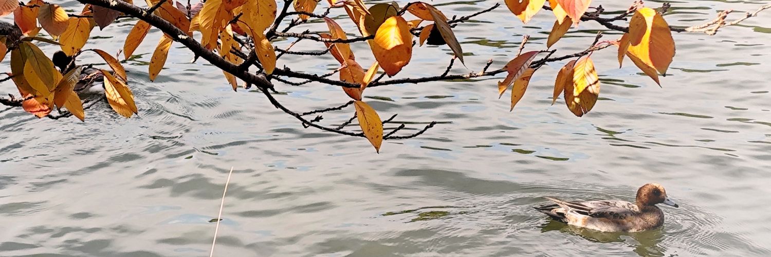 mutterina2010's profile banner image