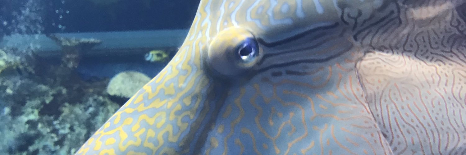 nobycube's profile banner image