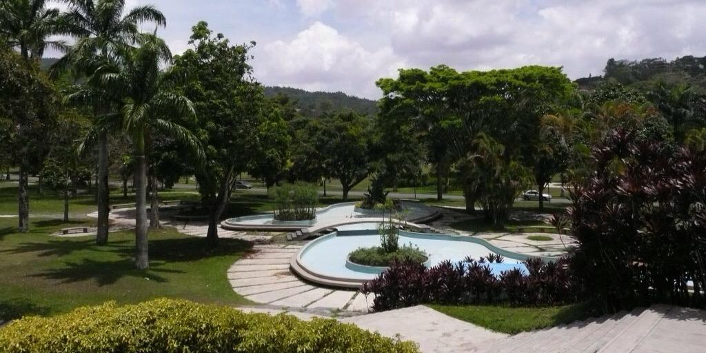 Daniel E. Varnagy R. banner