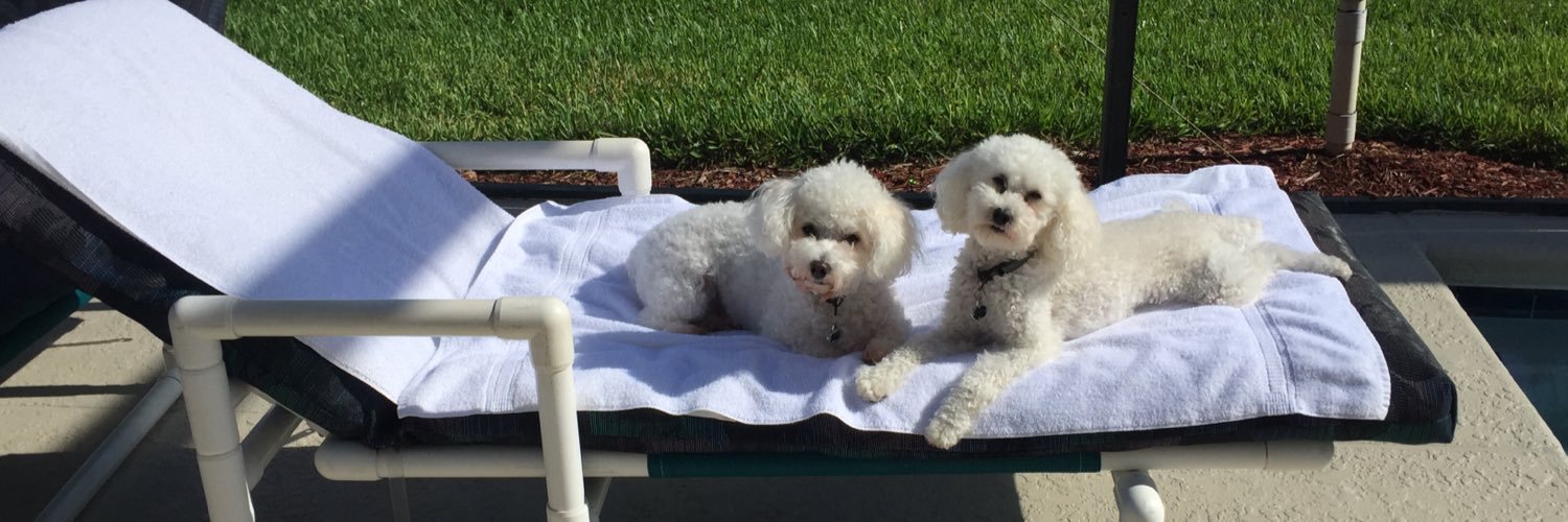 Pamela Baughman banner