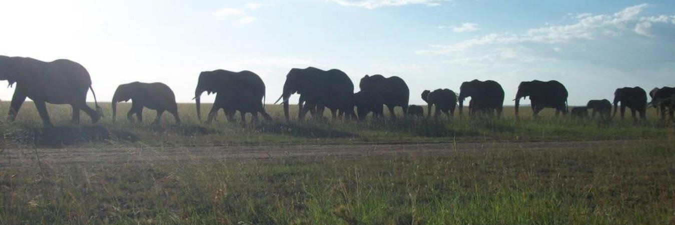 Camilla van Klinken banner