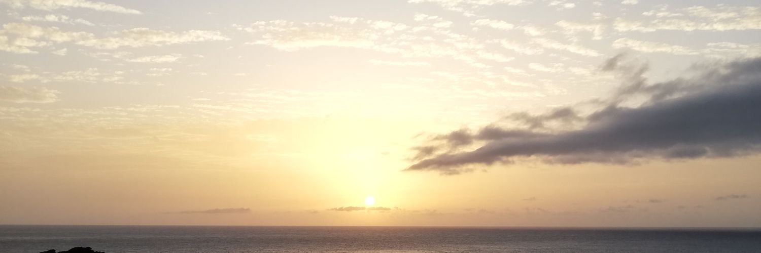 sofiasm_19's profile banner image