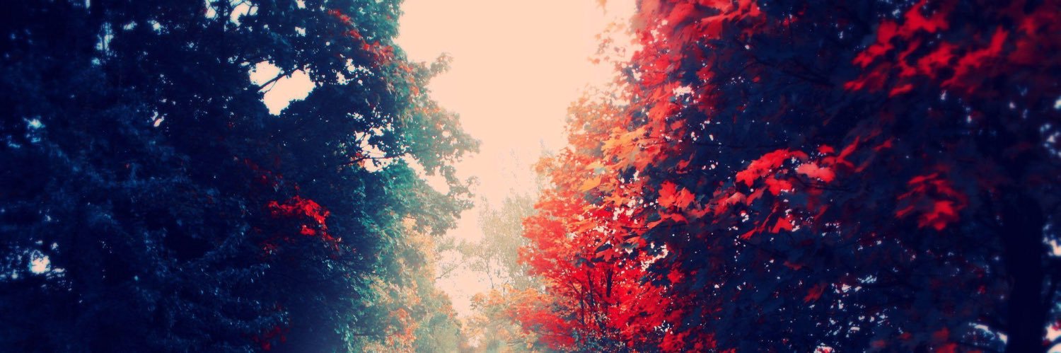 David Sterling banner