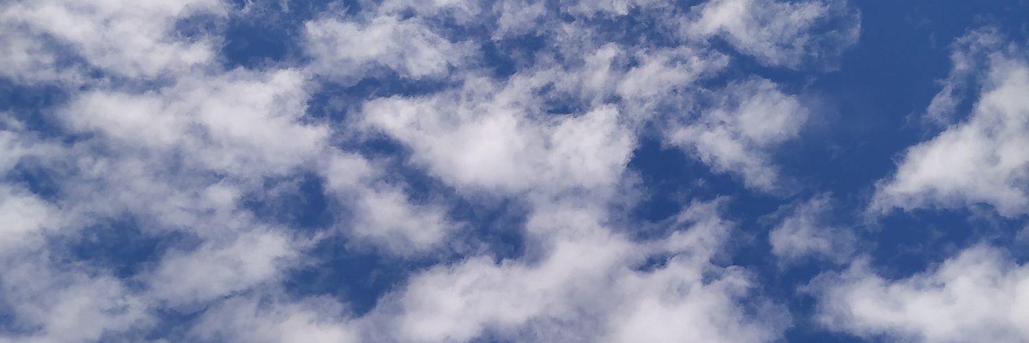 mei_vig's profile banner image