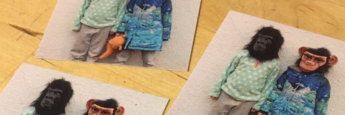 douglawson's profile banner image