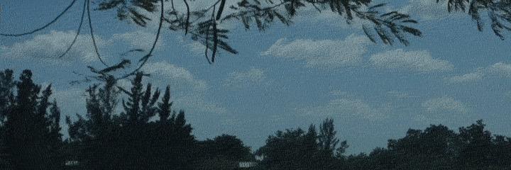 ChinoFerrera's profile banner image