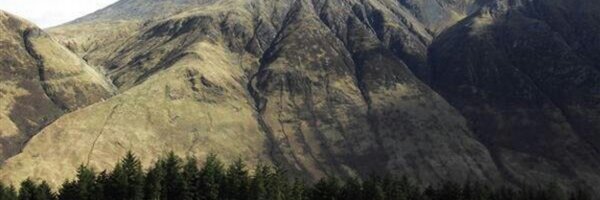 ianbeattie1 Profile Banner