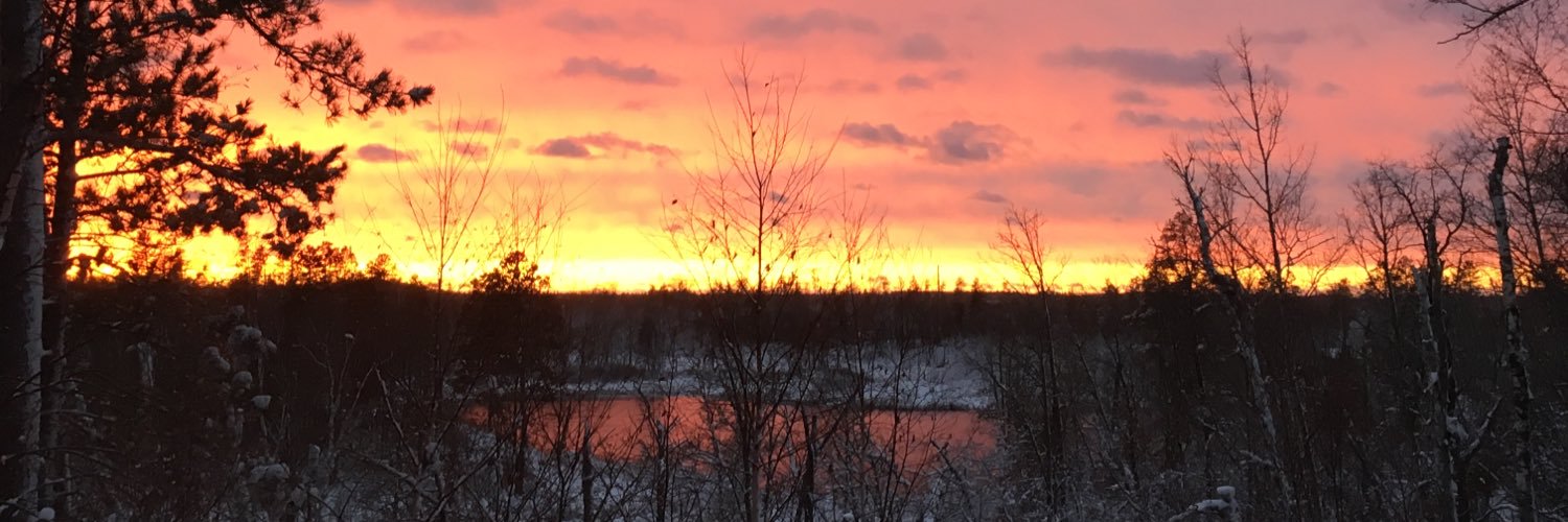 LeitsOutLeitner's profile banner image