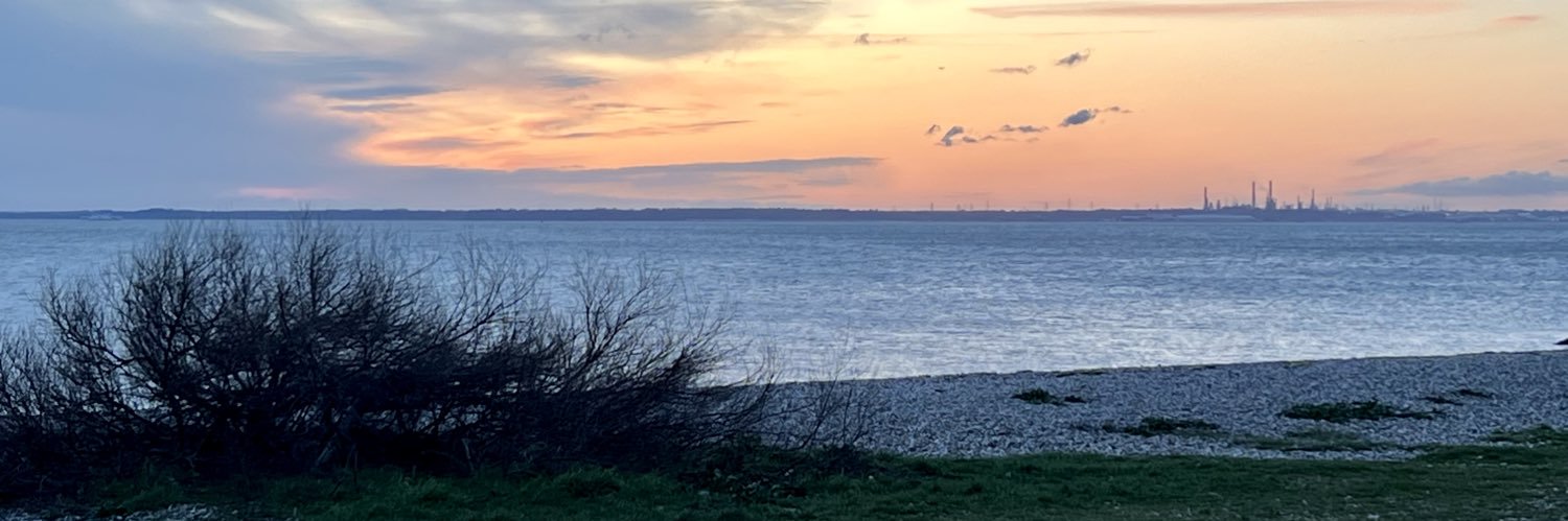 StevynRicketts's profile banner image