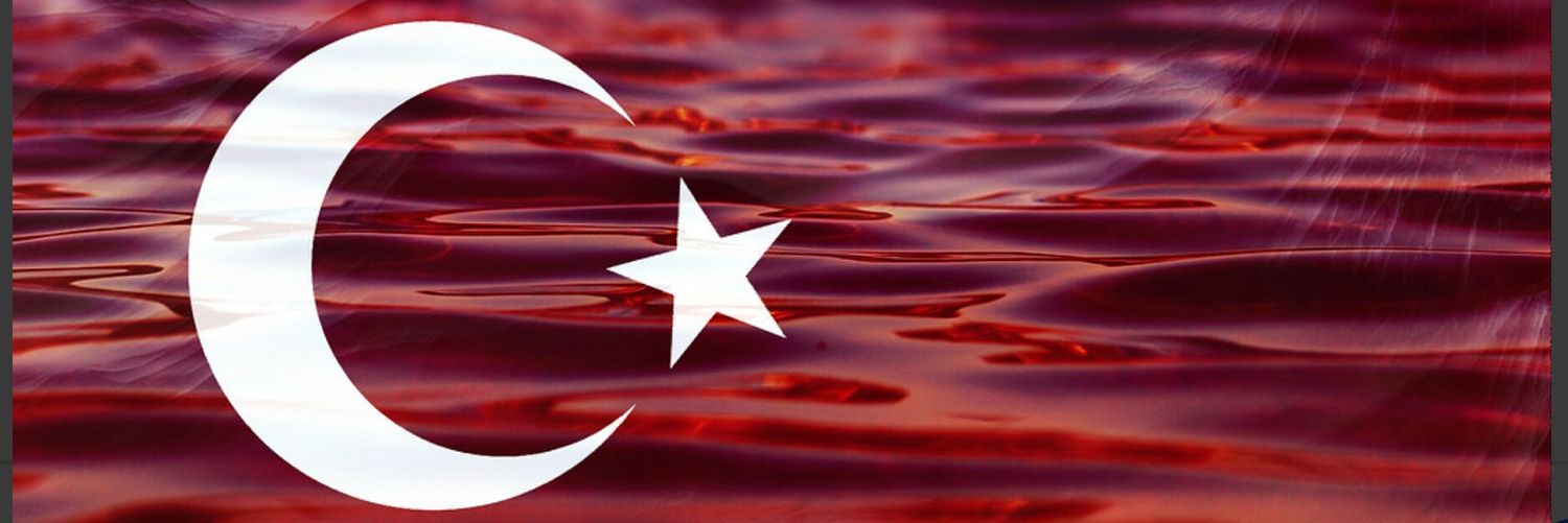 mehmeterkul's profile banner image