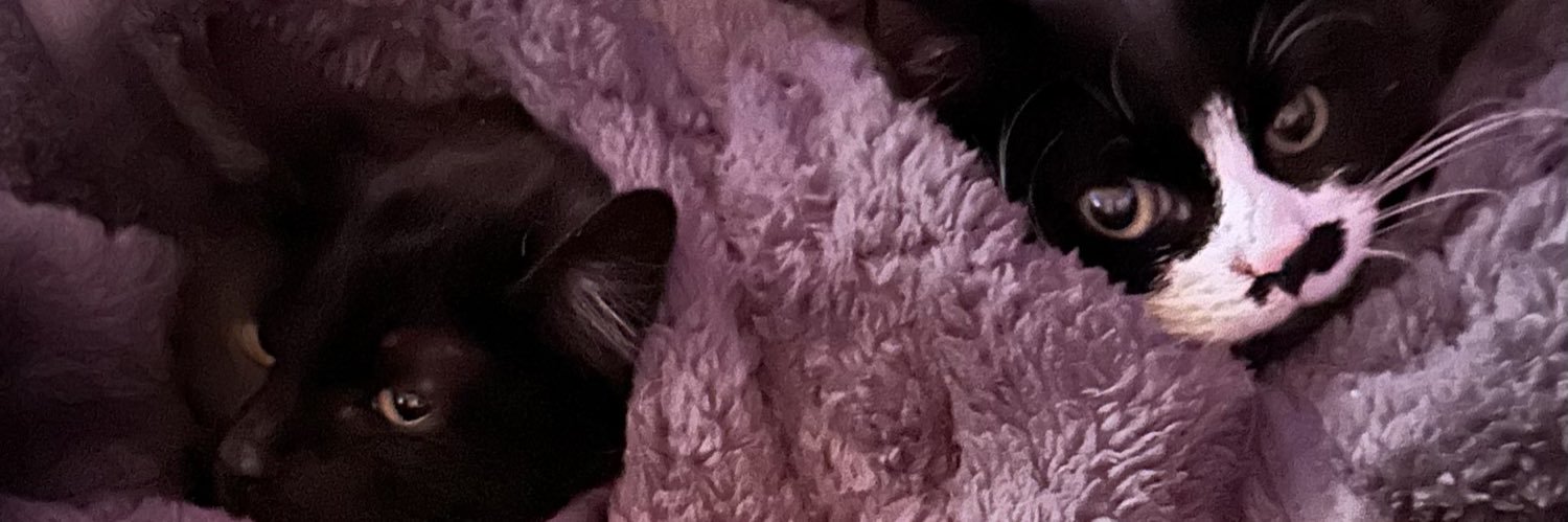 Teefortin Rowe 🇺🇦🌻 ☮️ 💙 banner