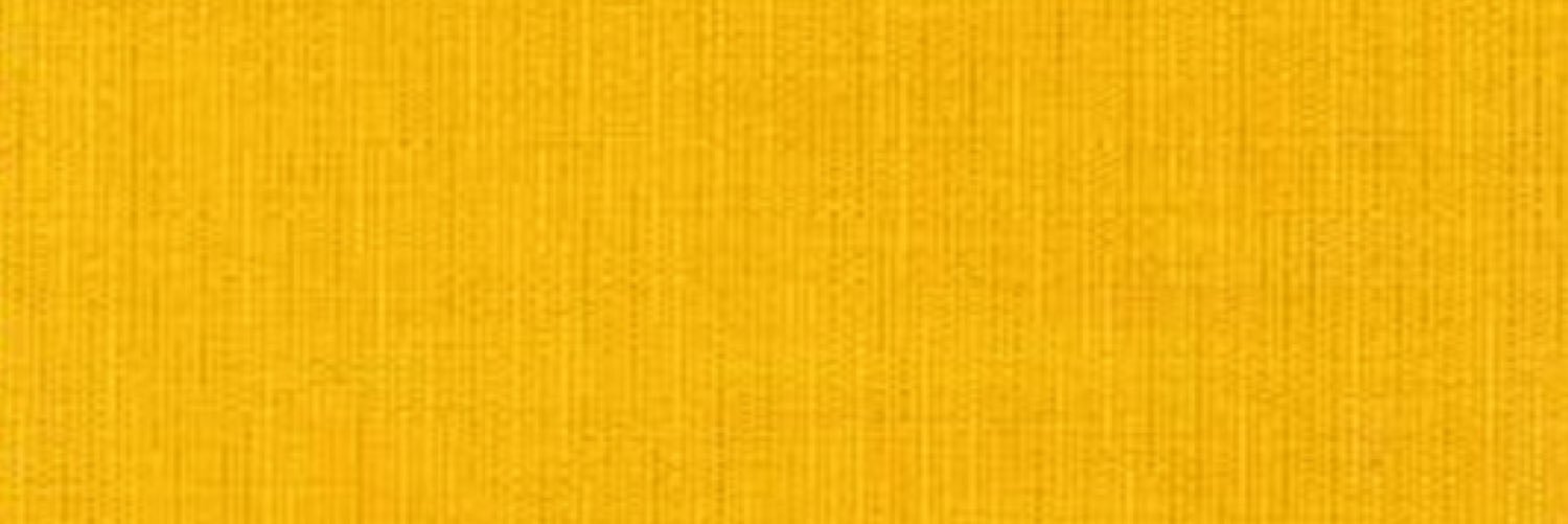 RYLL_I_AM's profile banner image