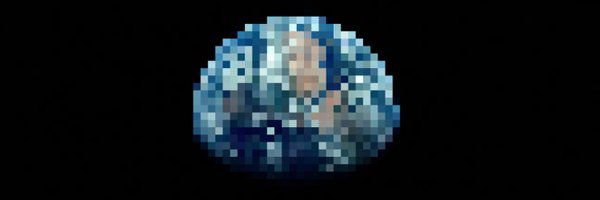 raspstephan Profile Banner