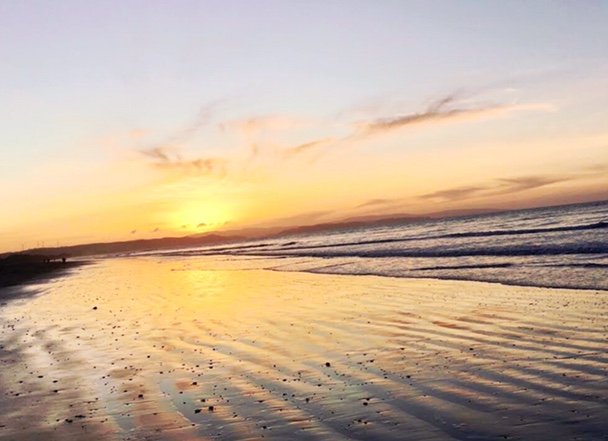 vivisaez's profile banner image