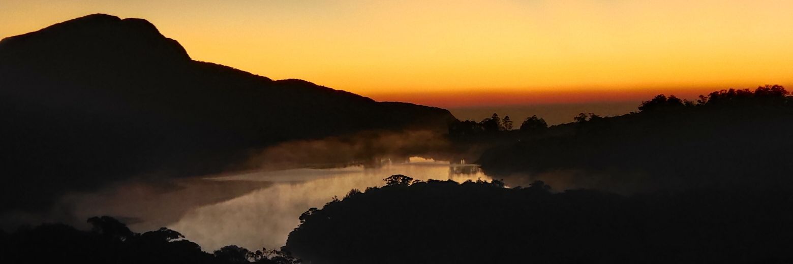 Praveen Reddy banner