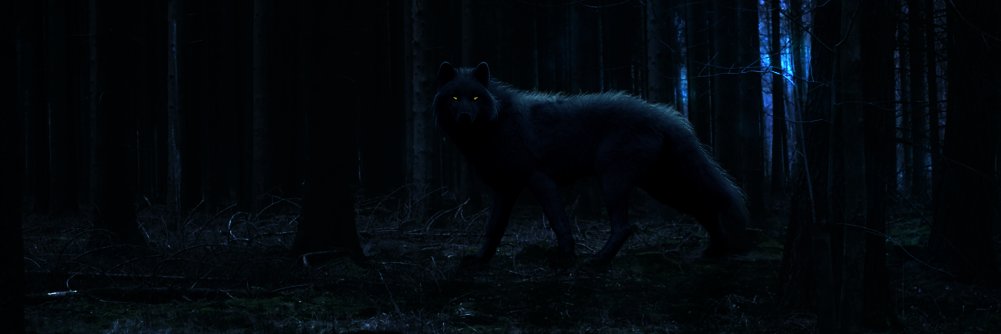 Bochi_Wolf's profile banner image