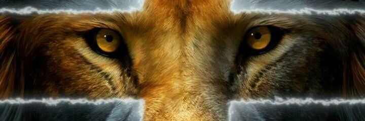 YoungKee15's profile banner image