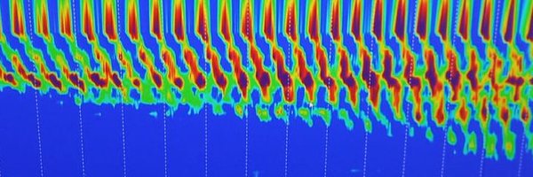 MalageladaC Profile Banner