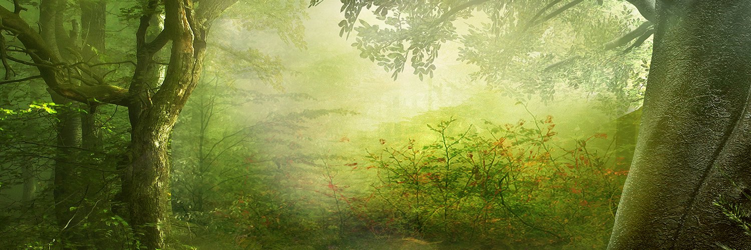 ForestNetworkLabs banner