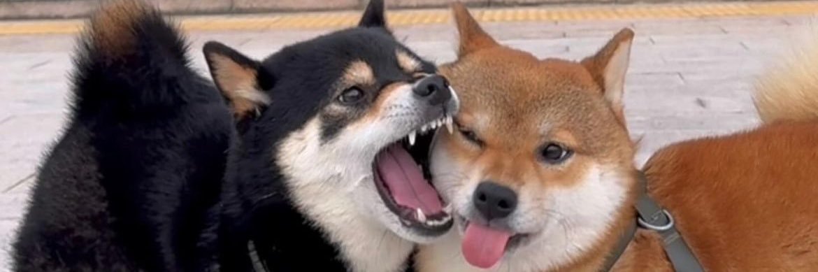 bren_dxn's profile banner image