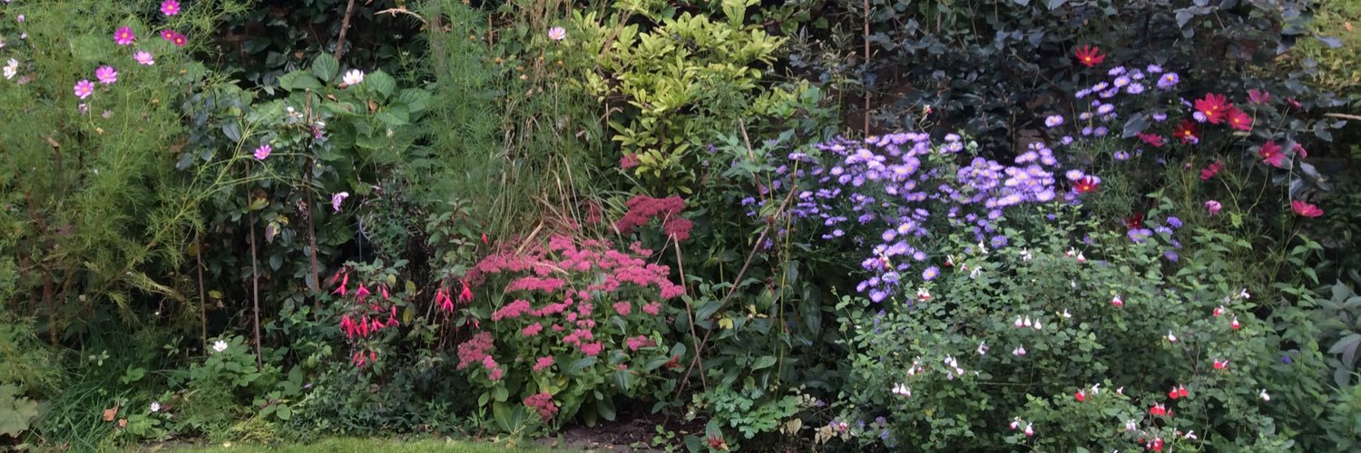 Henrietta Blyth banner