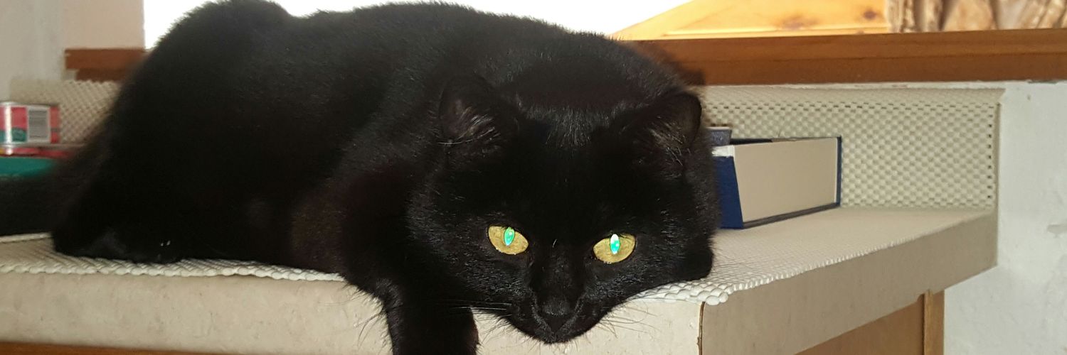 mariarosaAlber2's profile banner image