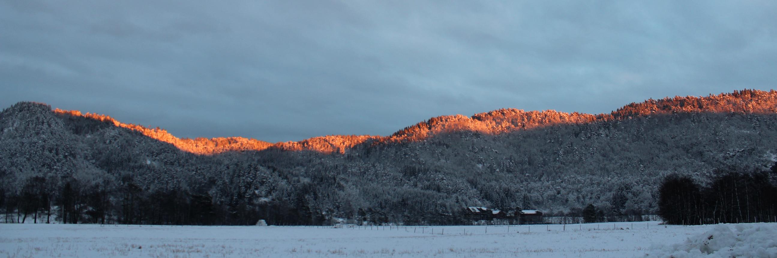 ehennestad's profile banner image