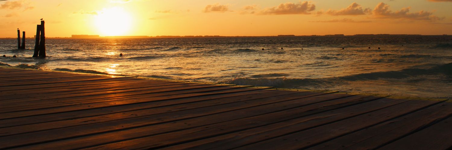 amcampollo's profile banner image