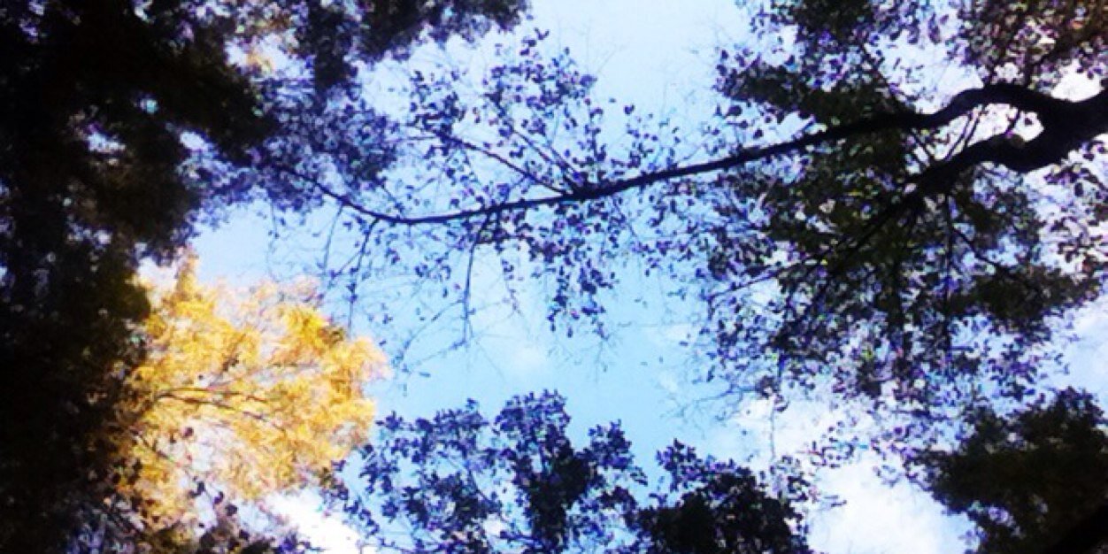 SRaeann12's profile banner image