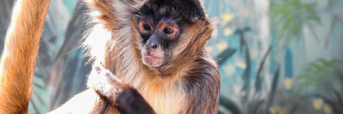 mgondim's profile banner image